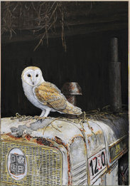 Image of Classic Perch, Mike's Tractor and Barn Owl, Tregaswith, St. Columb Major, Cornwall 